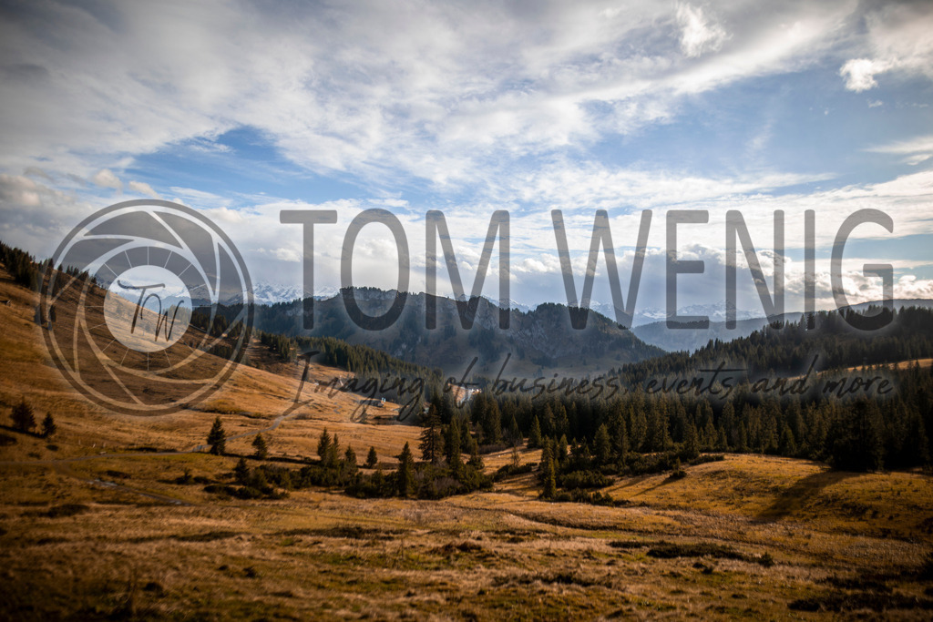 IMG_4769 | Fotos:
Tom Wenig
https://www.tomwenig.de - Realisiert mit Pictrs.com