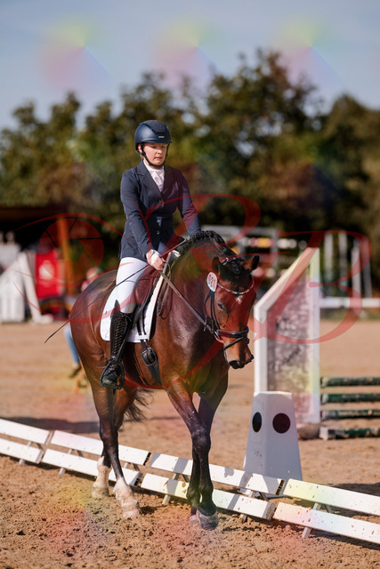 2026_10_03_Siefer-Hof_125535_Z81_44896630 | Professionelle Reitsport-, Turnier- und Eventfotografie von Robert Broda. Galerien mit ausgewählten und bearbeiteten Bildern direkt online ansehen und bestellen.
