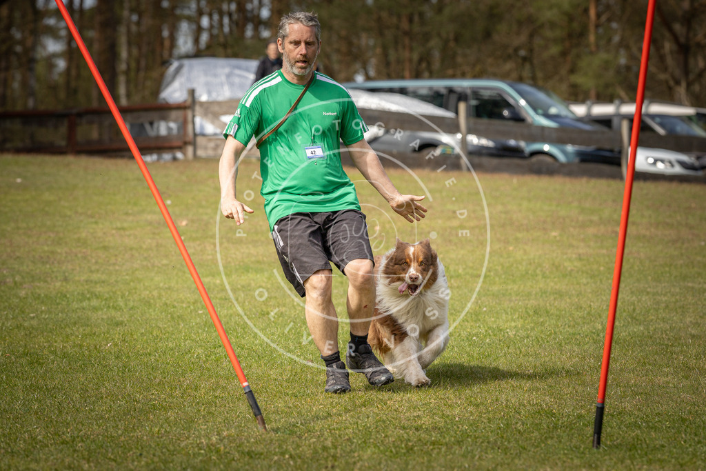 Pfotenfotografie_DV3A7728 | Hundefotografie, Tierfotograf, Pfotenfotografie, Fotoshooting Hund, Hunde Portrait, Hundesport, Hundeportraits, Heideshooting, Hunde, Sportfotograf, Hundefotograf, Turnierhundsport, THS,  - Realisiert mit Pictrs.com
