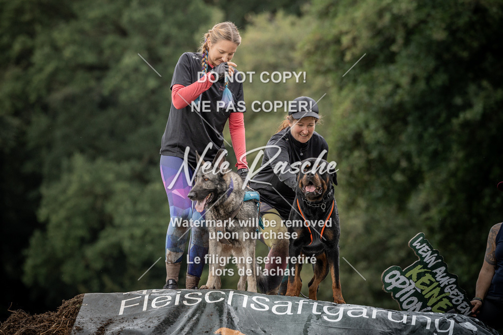 nelerasche_Wingst_Sa1300-1330_375 | nelerasche