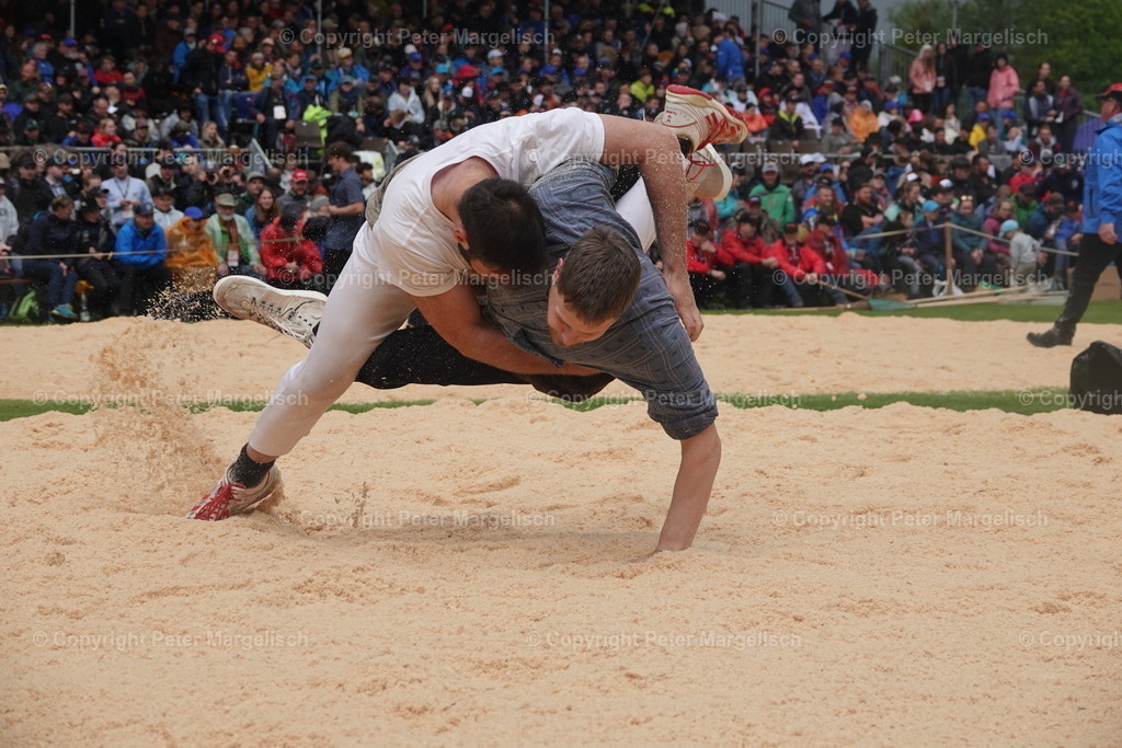 DSC03925 | Schwingen - Realisiert mit Pictrs.com