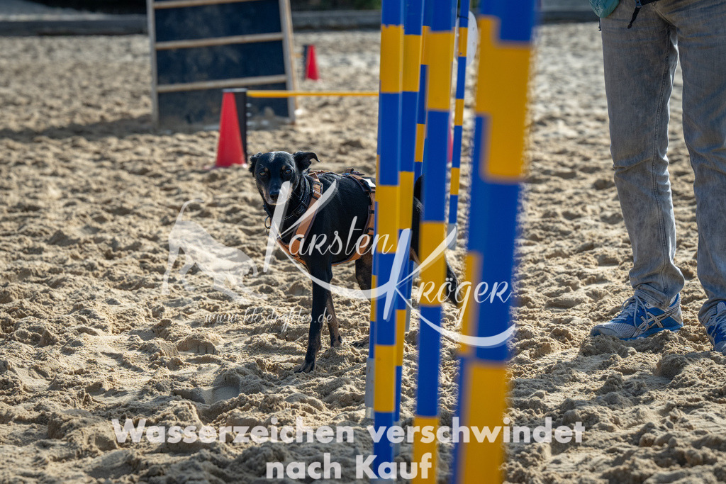 1110_ZZ90548 | kk-dogfotos