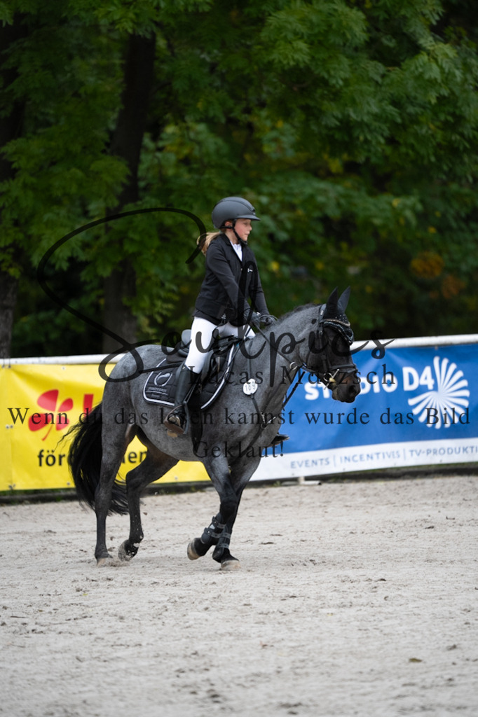 A7V08462 | Pferdefotograf