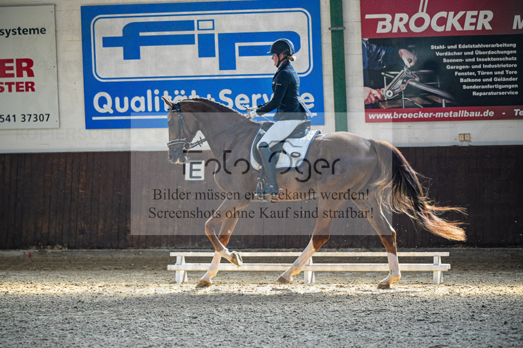Reitturnier Voxtrup | Entdecke hochwertige Reitturnierfotos von Foto Oger. Professionell, emotional und authentisch – jetzt Lieblingsmomente im Shop bestellen.Deutschlandweite Turnierfotografie. - Realisiert mit Pictrs.com