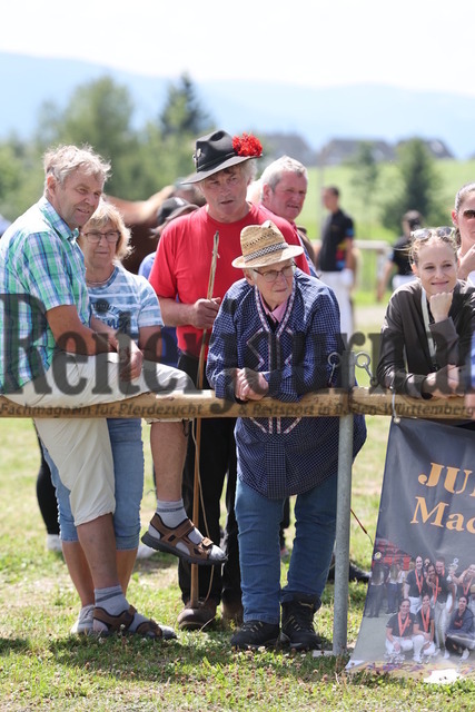 Fohlenprämierung_Sankt-Märgen_2024_Impressionen (68) | Alle Fotos der Reiterjournal Fotografin Doris Matthaes im Reiterjournal Online-Fotoshop. - Realisiert mit Pictrs.com