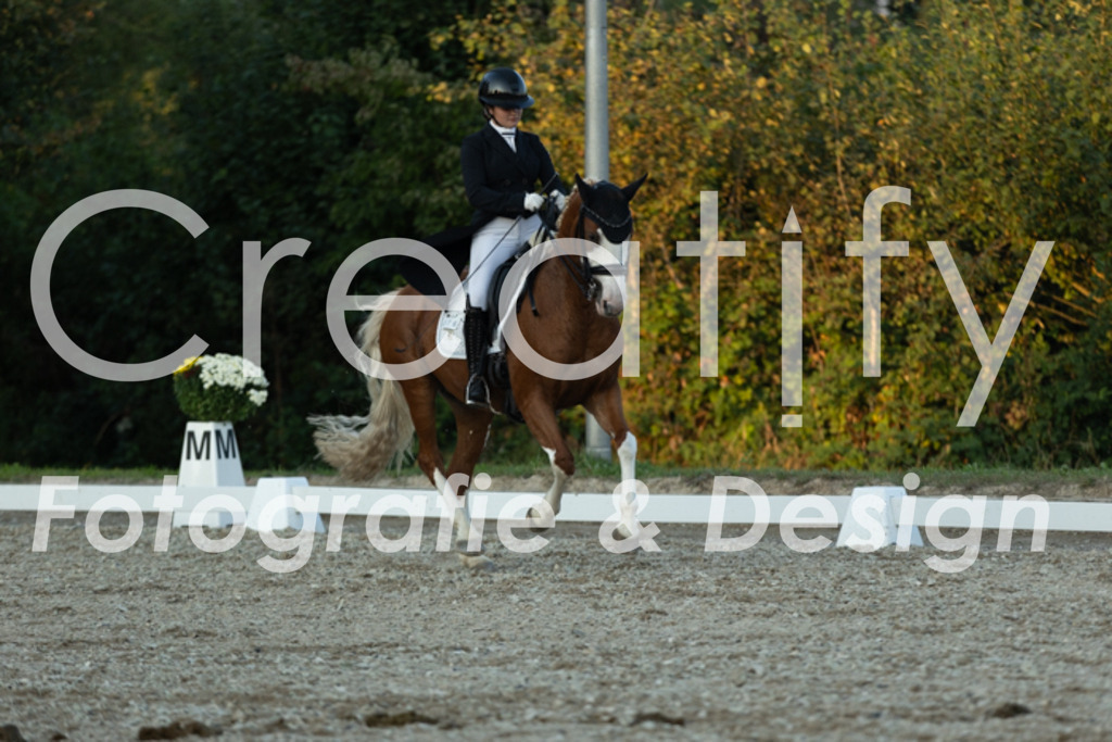 IMG_7603 | Creatify Fotografie