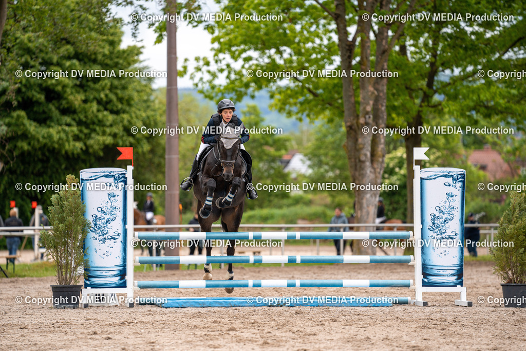 Eppelheim Tag 1-06 | dv-media-shop - Realisiert mit Pictrs.com