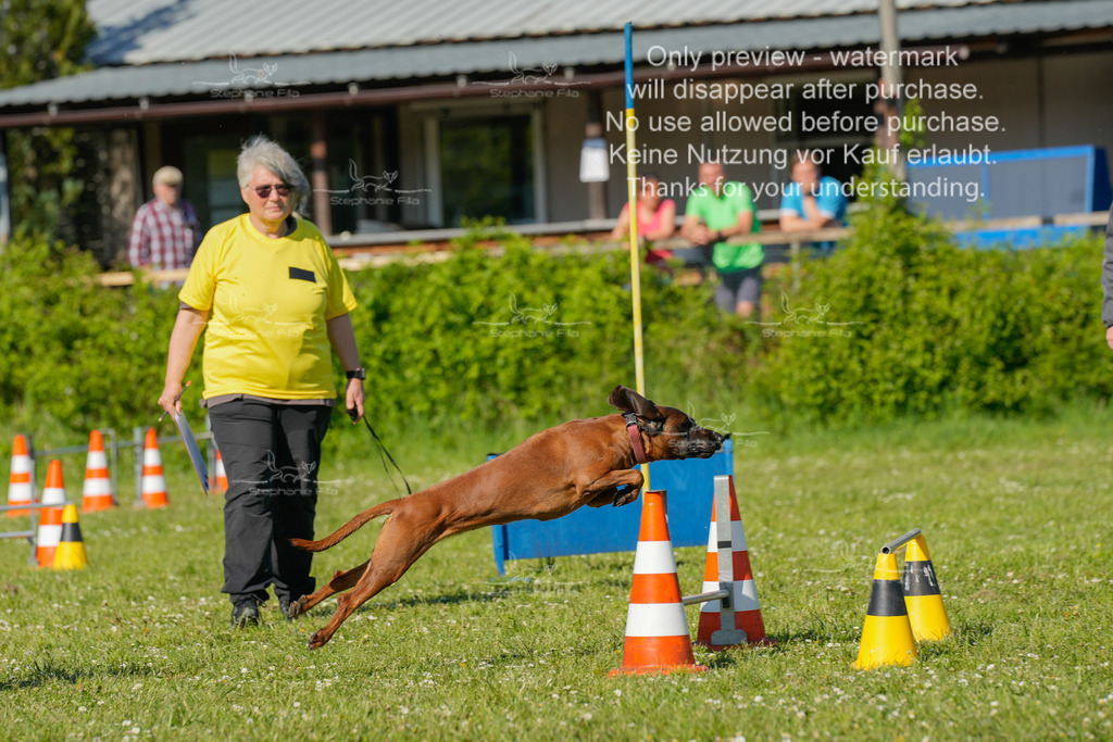 Sa_CSC-293 | stephaniefillaphotographie - Realisiert mit Pictrs.com