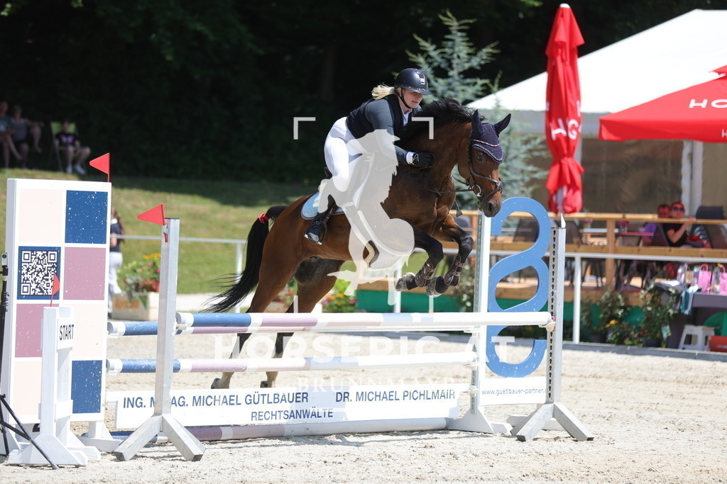0P6A9170 | Willkommen bei Brunnmayr - Design & Fotografie – Ihrem Spezialisten für Reitturniere und Pferdeveranstaltungen in Oberösterreich, Salzburg und Bayern! Seit über 17 Jahren sind wir leidenschaftlich dabei.