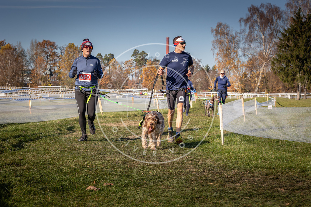 CaniXpix_0L8A8668 | Hundefotografie, Tierfotograf, Pfotenfotografie, Fotoshooting Hund, Hunde Portrait, Hundesport, Hundeportraits, Heideshooting, Hunde, Sportfotograf, Hundefotograf, Turnierhundsport, THS,  - Realisiert mit Pictrs.com