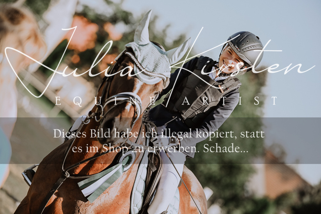 DSC_9526 | Pferde- und Turnierfotografie in Westsachsen. Pferdeportraits, Auftragszeichnungen und intuitive Kunst.