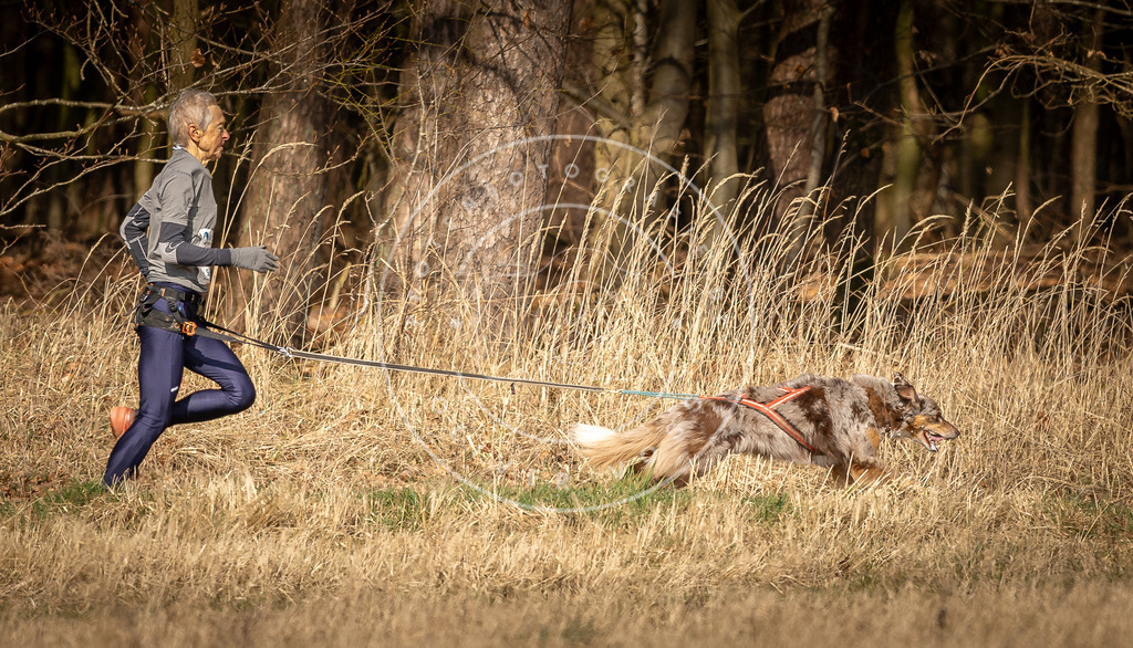 DV3A5428 | Hundefotografie, Tierfotograf, Pfotenfotografie, Fotoshooting Hund, Hunde Portrait, Hundesport, Hundeportraits, Heideshooting, Hunde, Sportfotograf, Hundefotograf, Turnierhundsport, THS,  - Realisiert mit Pictrs.com