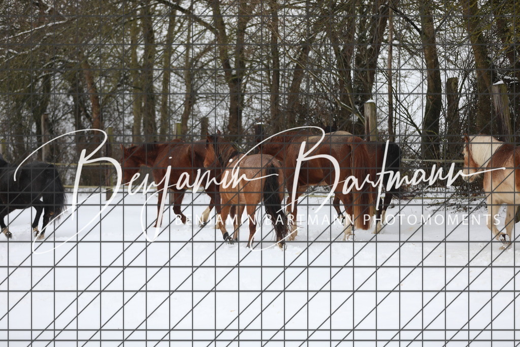 AZ2A3277 | Benjamin Bartmann Photomoments