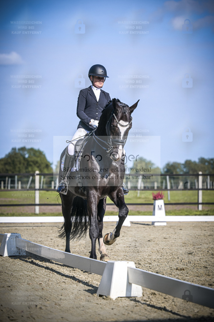 DOS_3056 | Entdecke hochwertige Reitturnierfotos von Foto Oger. Professionell, emotional und authentisch – jetzt Lieblingsmomente im Shop bestellen. - Realisiert mit Pictrs.com