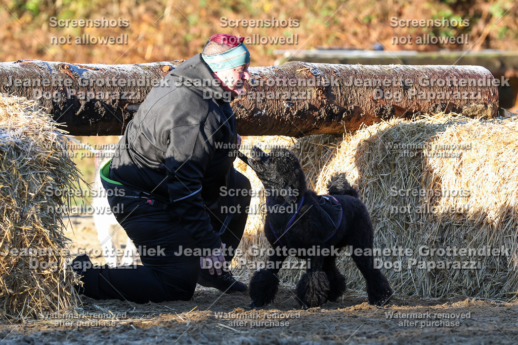 Dog Paparazzi - Strongdog 10-25-747 | Dog Paparazzi Jeanette Grottendiek Fotografie & Videografie - Realisiert mit Pictrs.com