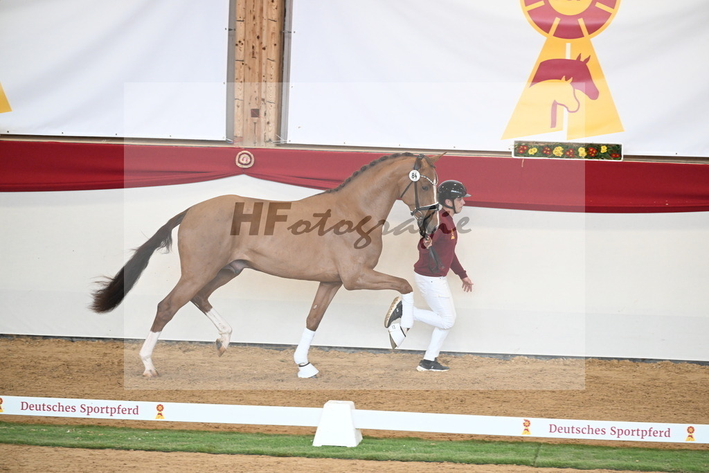 Kat.-Nr. 84 v. Vaderland_van den Oetelaar_2250807 | hf-fotografie - Realisiert mit Pictrs.com