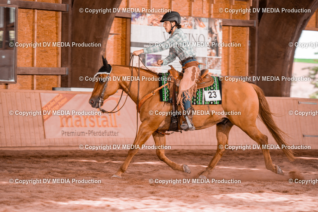 NE200722 | dv-media-shop - Realisiert mit Pictrs.com