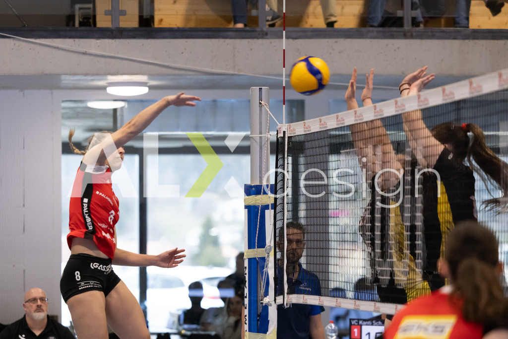 Volleyball I Frauen I Saison 2025-2026 I Volleyball NLA | Women I 1/4 Finals I  BIWI VFM - VC Kanti Schaffhausen I 01.03.2026 | 8 Lina-Marie Lieb (DE) (VC Kanti Schaffhausen) – Aussen - Realisiert mit Pictrs.com