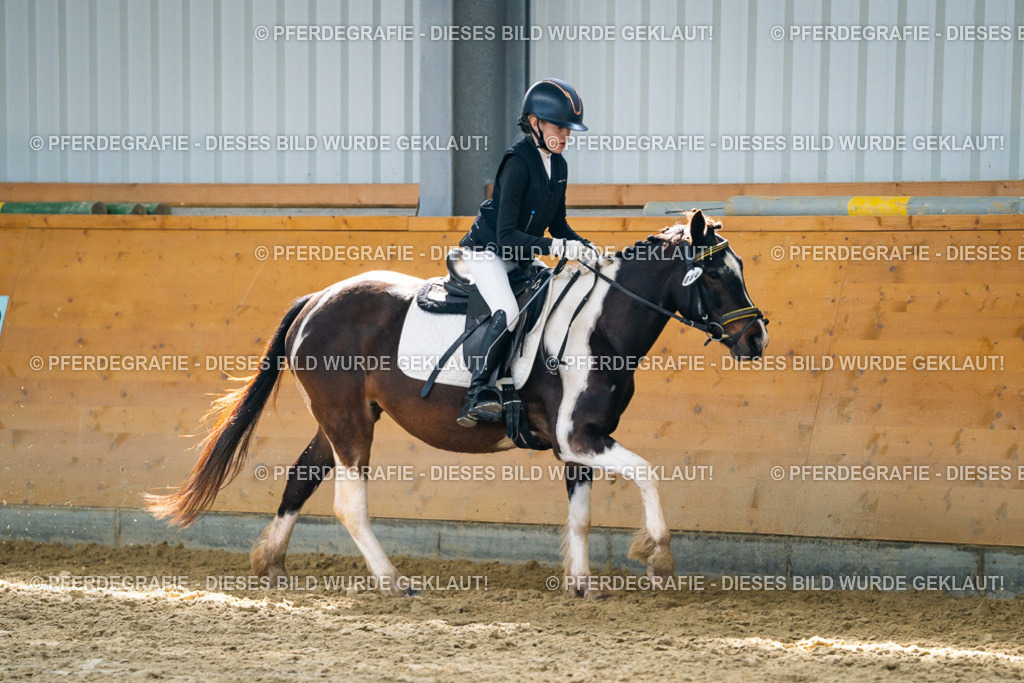 DSC01903 | Pferdegrafie