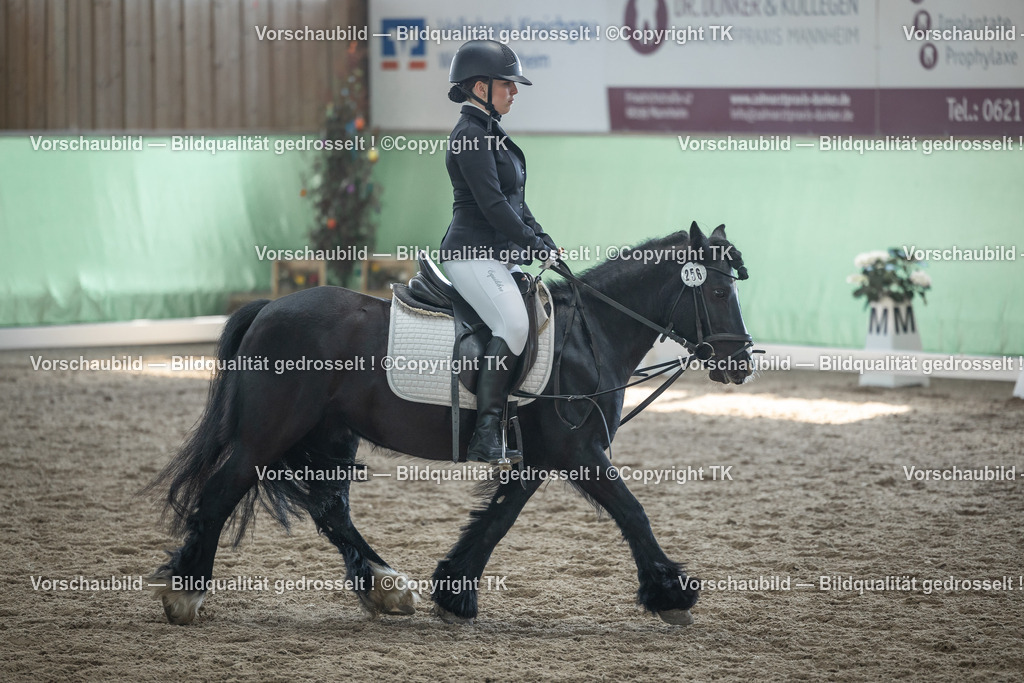 _D5A8808 | Emotionale Pferde- & People-Fotografie rund um Heidelberg, Leimen & Umgebung. Natürliche Fotos von Pferd, Mensch & Familie. Jetzt Termin sichern!