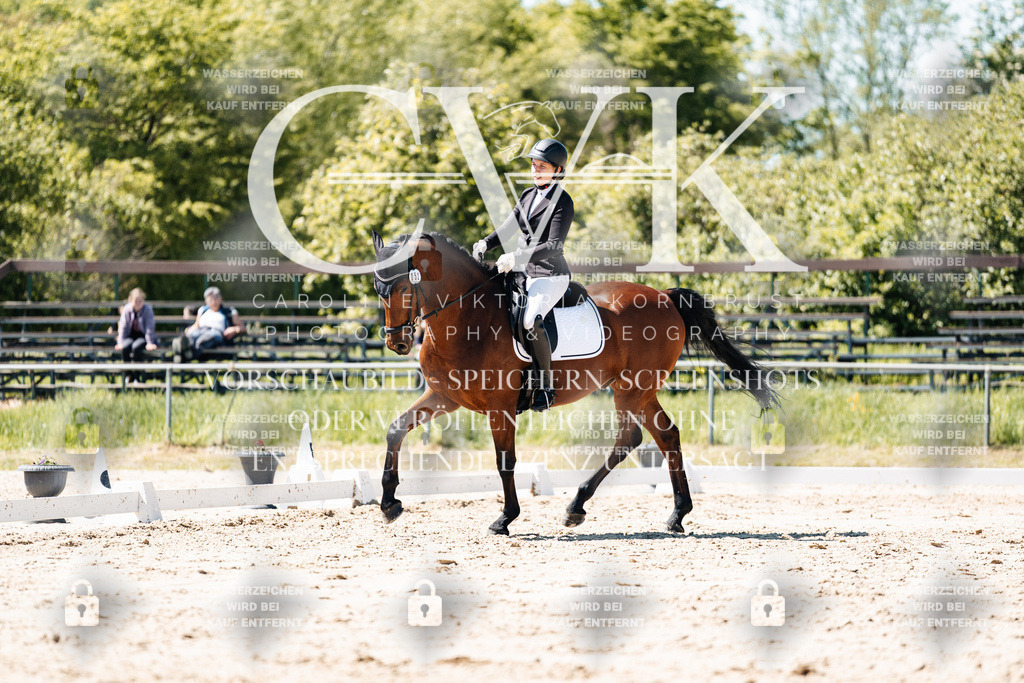 CK905897 | Turnierfotografie Pferdefotografie Trier Rheinland-Pfalz Pferdesport Reitsport Tierfotografie Sportfotografie Pferdevideo Pferdevideografie Equestrianvideography equestrianphotography  - Realisiert mit Pictrs.com