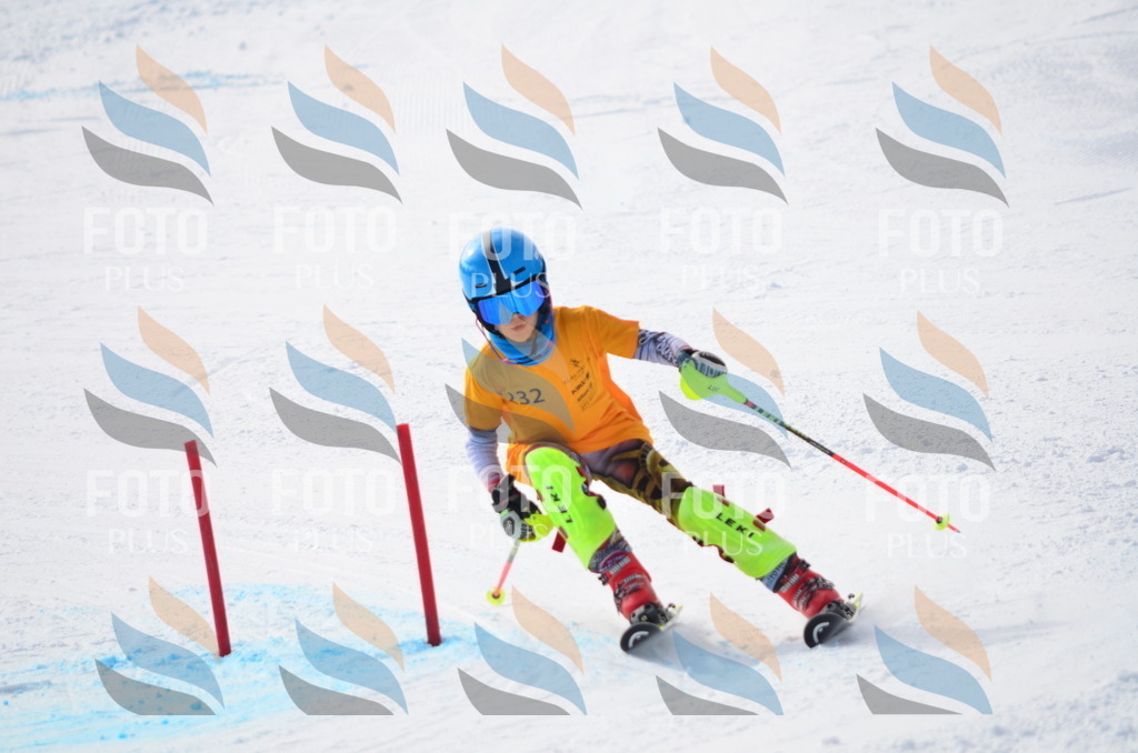 C8317 | holidayphoto