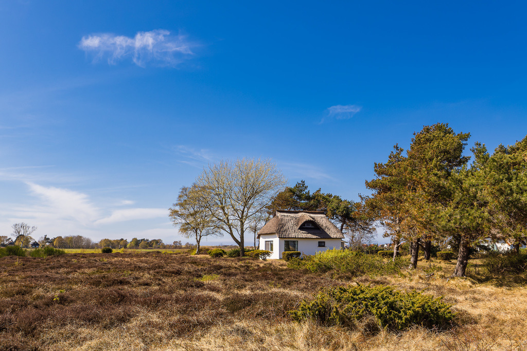 Ferienhaus zwischen Vitte und Neuendorf auf der Insel Hiddensee | Ferienhaus zwischen Vitte und Neuendorf auf der Insel Hiddensee.