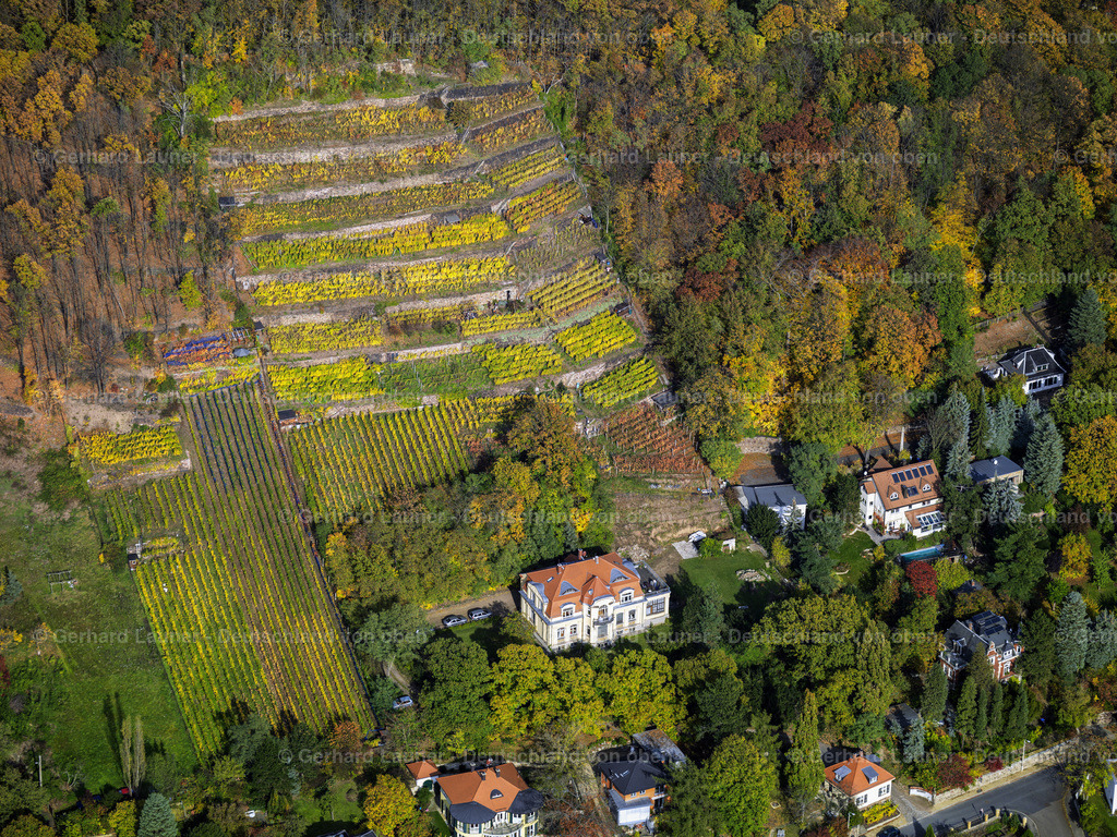 2888152 | Weinberge bei Radebeul