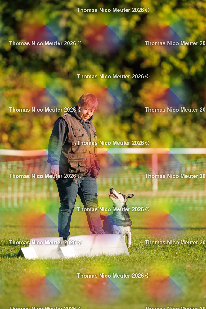 Thomas_Nico_Meuter(C)_04. Oktober 2026_223A0054 | Bild von Thomas Nico Meuter - Realisiert mit Pictrs.com