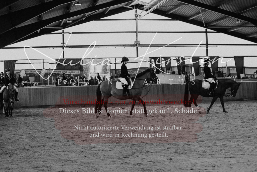 DSC_7316 | Pferde- und Turnierfotografie in Westsachsen. Pferdeportraits, Auftragszeichnungen und intuitive Kunst.