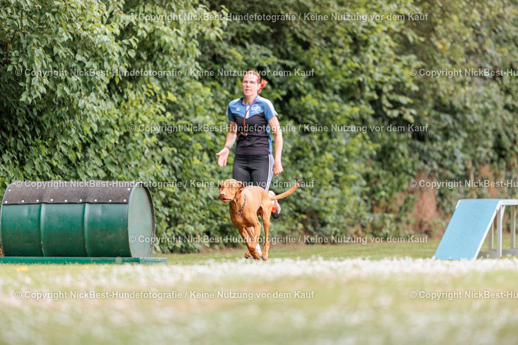 THS-Quakenbrück-2026-Nickbest-Hundefotografie-3055 | Dein Hund! Dein Moment! Deine Erinnerungen! Hundefotografie in Bremen Blumenthal. Ich fange die besonderen Momente deines Vierbeiners ein – ob Indoor mit Blitzanlage oder in der freien Natur. Sicher dir dein Moment und dein Termin für eure Erinnerungen.