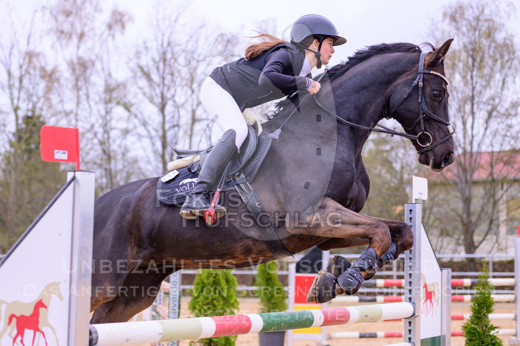 12042026-Mammendorf-Prfg42-0174 | Fokus Hufschlag Fotografie - Realisiert mit Pictrs.com