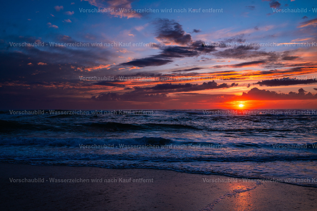 DSC01535 | marcuslinek