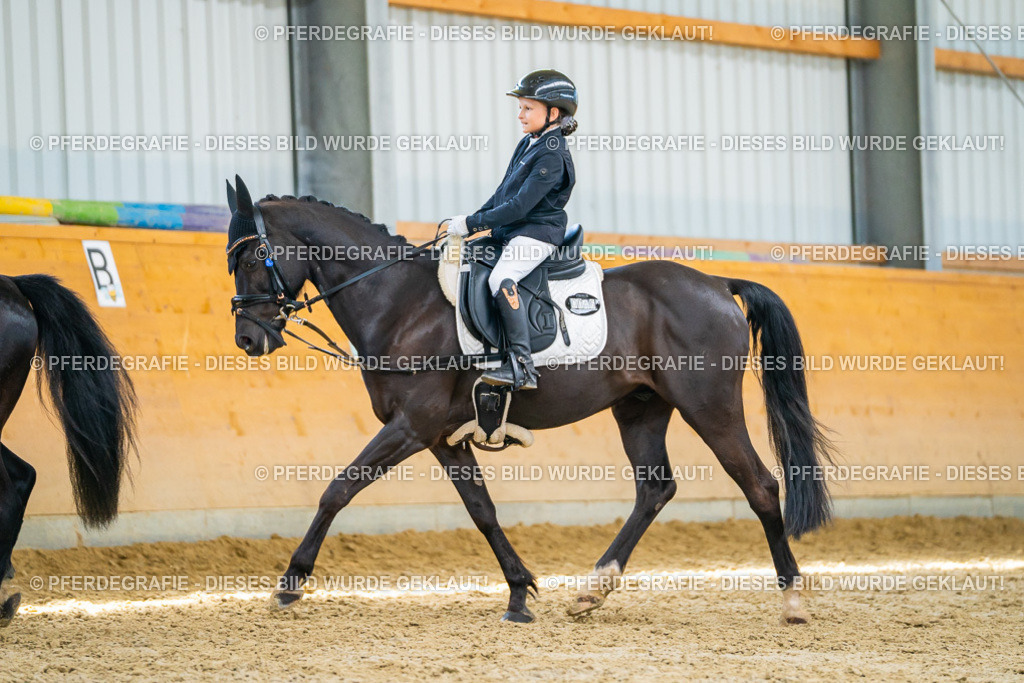 DSC09005 | Pferdegrafie