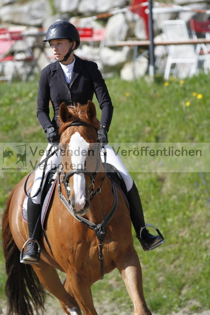 _MG_6631 | equestrian-live-com