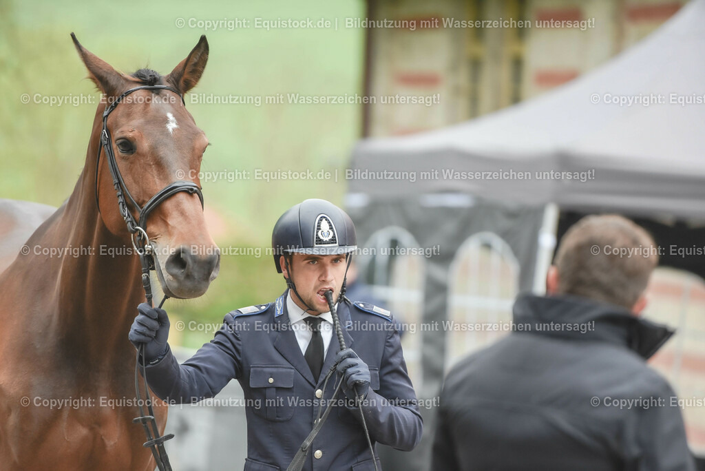 20230514_Impressionen_0210 | equistock