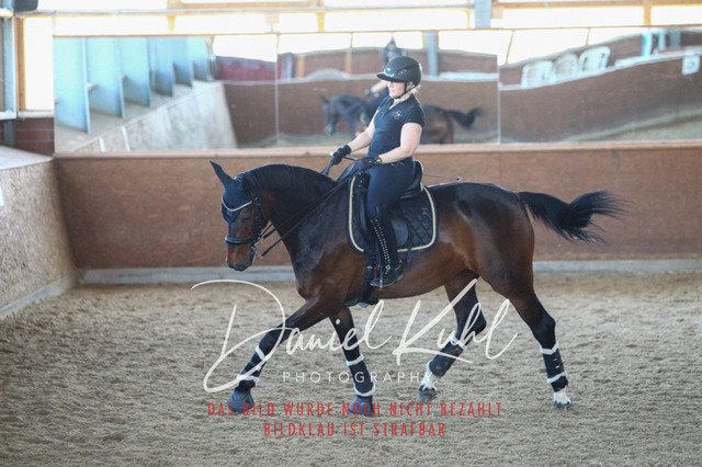 DKP42551 | Turniersportfotografie; Pferdefotografie; Dressurfotografie