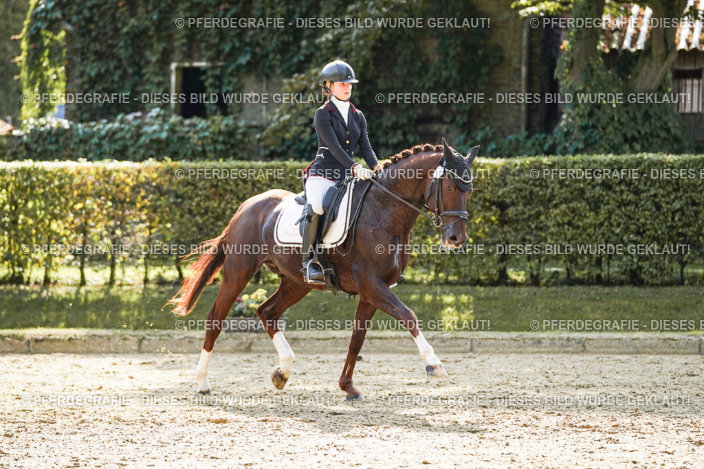 DSC08128 | Pferdegrafie