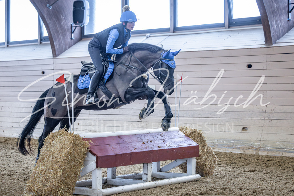 20260221-_3LI9188 | Tierfotografie Pferde, Hunde, Katzen, Haustiere.
Turnierfotografie Reitturniere, Reiten, Springreiten, Dressur in Hanau, dem Main-Kinzig-Kreis und dem Rhein-Main- Gebiet um Frankfurt