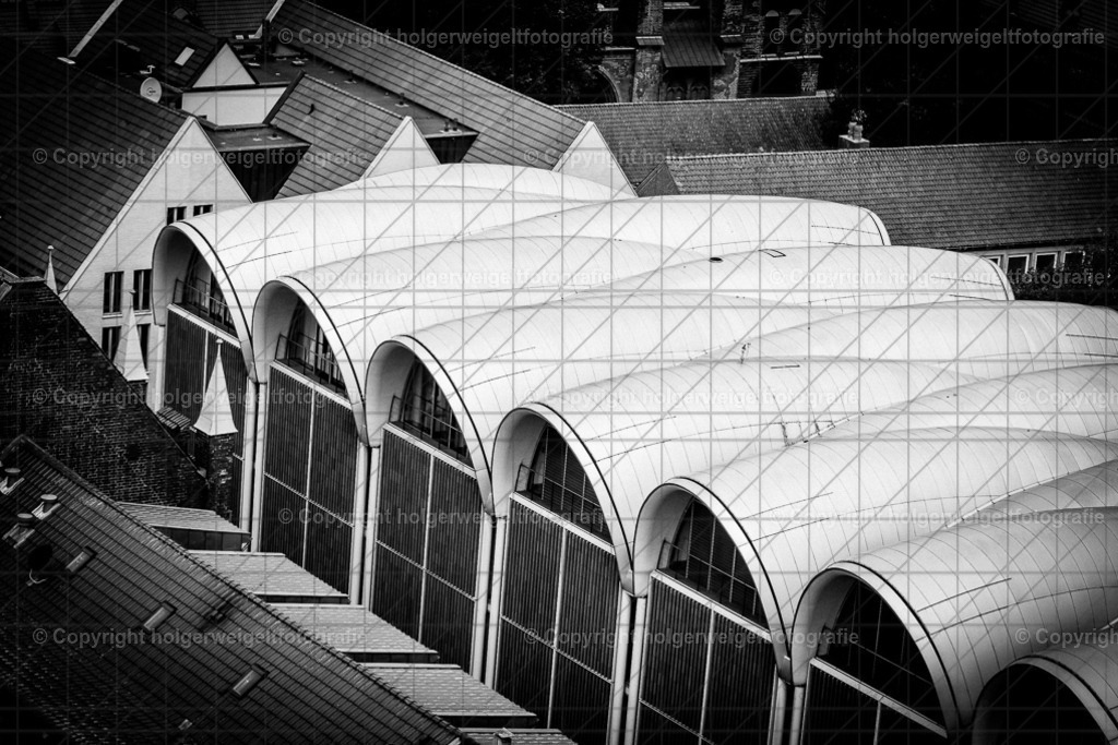 20221005134904D75_9835 | Kaufen sie online außergewöhnliche Fotografien auf Leinwand Acrylglas Fotoprint Aludibond von holgerweigeltfotografie - Realisiert mit Pictrs.com