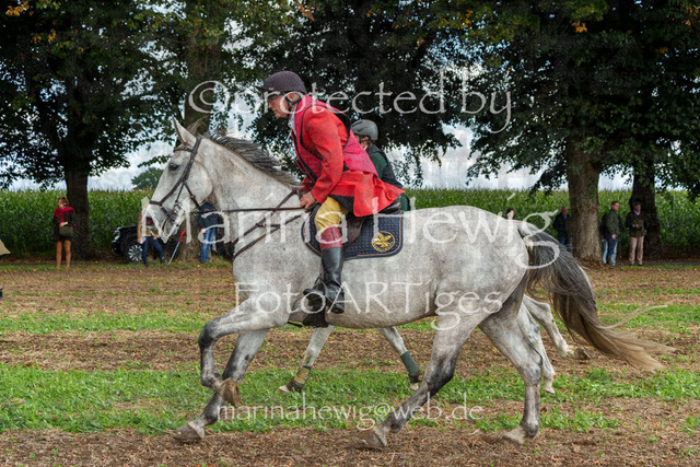 Jagd Perdoel_MarinaHewigMCH04946 | Fotografie, FotoArt, PferdesportArt, Pferdesportfotografie, Landschaftsfotografie, Reisefotografie, Reise, Pferde - Realisiert mit Pictrs.com