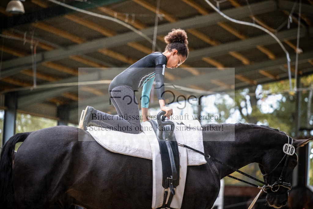 DOS_0170 | Entdecke hochwertige Reitturnierfotos von Foto Oger. Professionell, emotional und authentisch – jetzt Lieblingsmomente im Shop bestellen.Deutschlandweite Turnierfotografie. - Realisiert mit Pictrs.com