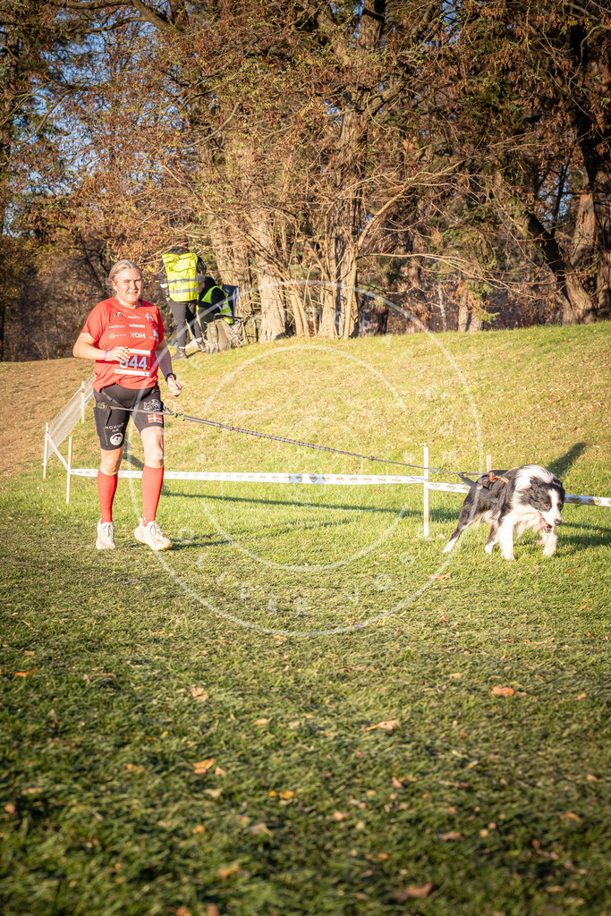 CaniXpix_0L8A0935 | Hundefotografie, Tierfotograf, Pfotenfotografie, Fotoshooting Hund, Hunde Portrait, Hundesport, Hundeportraits, Heideshooting, Hunde, Sportfotograf, Hundefotograf, Turnierhundsport, THS,  - Realisiert mit Pictrs.com