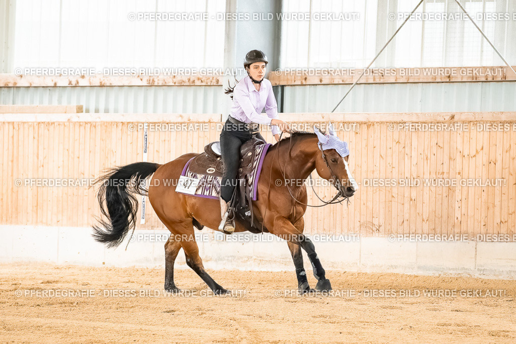 DSC02008 | Pferdegrafie