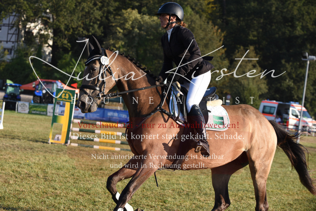 DSC_4835 | Pferde- und Turnierfotografie in Westsachsen. Pferdeportraits, Auftragszeichnungen und intuitive Kunst.