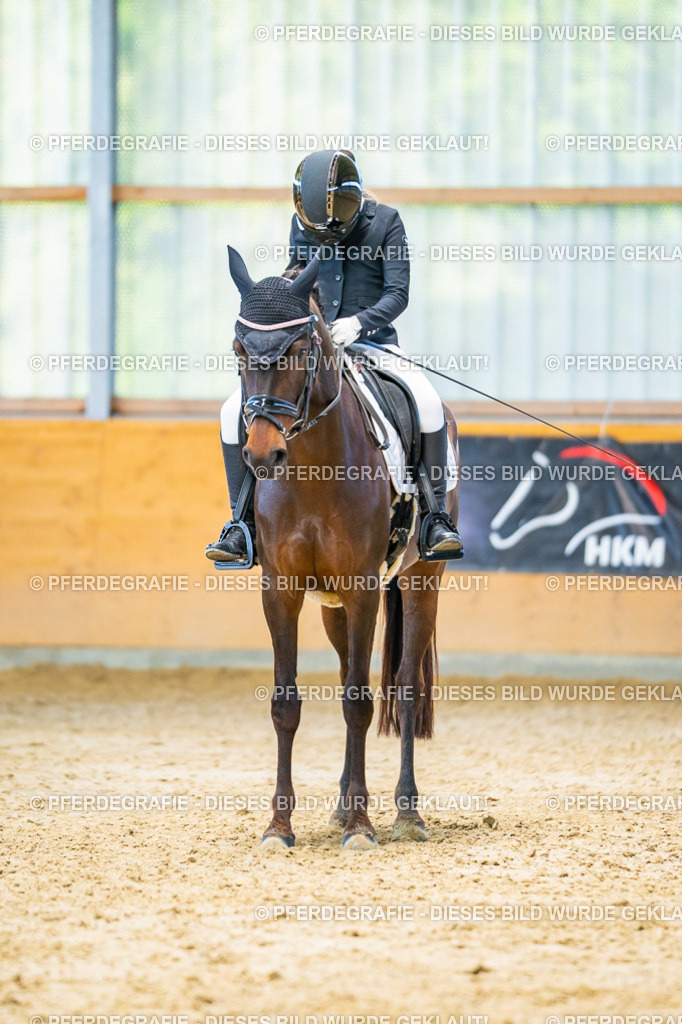 DSC07343 | Pferdegrafie