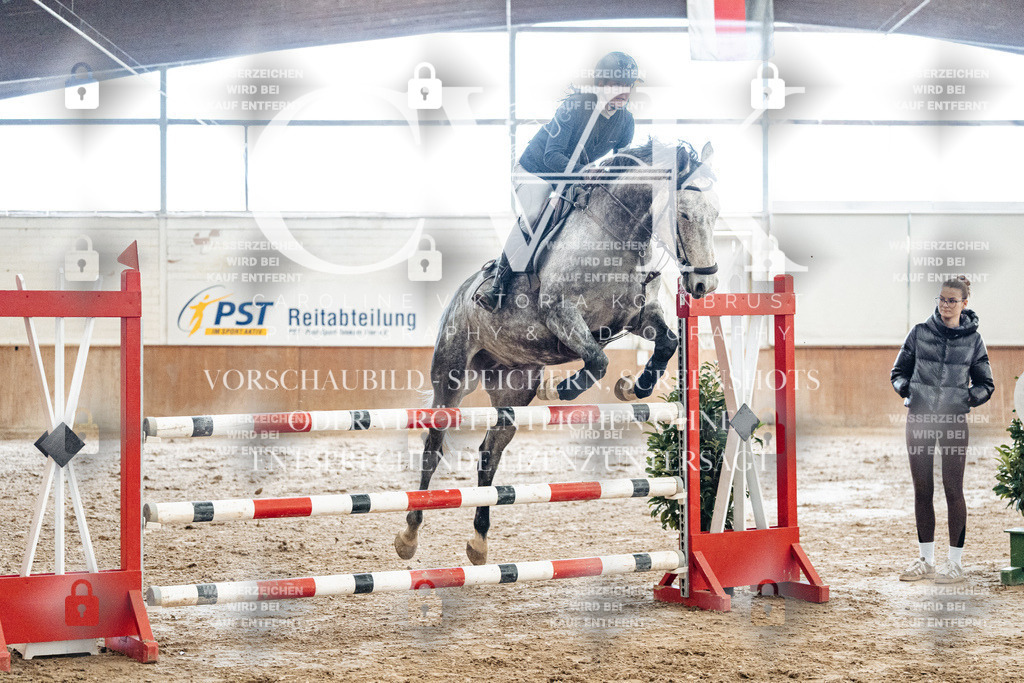 CK906334 | Turnierfotografie Pferdefotografie Trier Rheinland-Pfalz Pferdesport Reitsport Tierfotografie Sportfotografie Pferdevideo Pferdevideografie Equestrianvideography equestrianphotography  - Realisiert mit Pictrs.com