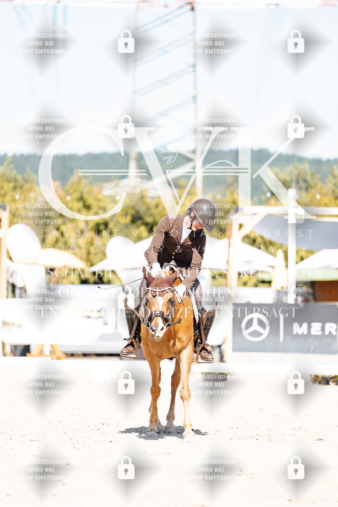 CK909109 | Turnierfotografie Pferdefotografie Trier Rheinland-Pfalz Pferdesport Reitsport Tierfotografie Sportfotografie Pferdevideo Pferdevideografie Equestrianvideography equestrianphotography  - Realisiert mit Pictrs.com
