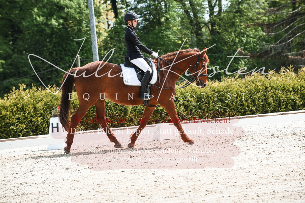 20230518_JK-Röhrsdorf-11-0443 | Pferde- und Turnierfotografie in Westsachsen. Pferdeportraits, Auftragszeichnungen und intuitive Kunst.