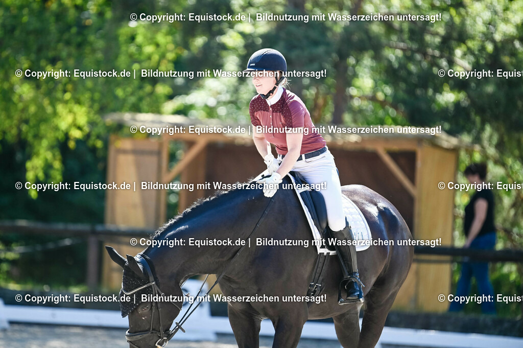 20230908_06_Dressur-L-Trense_0769 | equistock